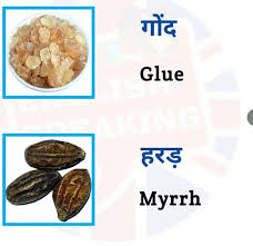Pin By Shreya On English Speaking In 2020 Learn English Vocabulary Learn English Words Hindi Language Learning
