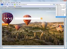 This is a community where fans can share their passion for the. Bing Download