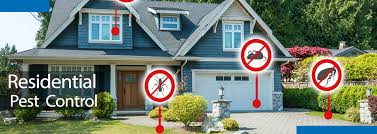 Our pest control services are. Pestofree Residential Pest Control Service In Mumbai Navi Mumbai Thane Pune Best Residential Pest Control