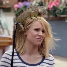 Fay's other stunningly realistic animal transformations include a stunning seahorse and a giraffe. The Good Place Season 3 Was Kristen Bell S Lizard Real