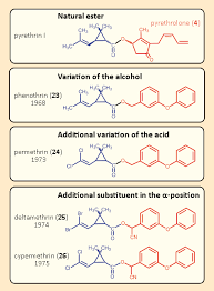 Image result for Pyrethrin