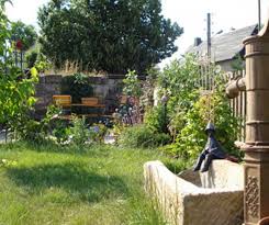 Pin Auf Garten Anpflanzen