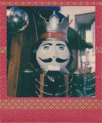 Anne Forest Photography