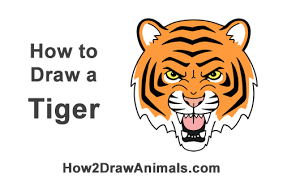 Check spelling or type a new query. Tiger Face Drawing Easy Cartoon Drawing