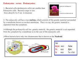 How do you say eukaryotic cell? Bacterial Cell Structure Ppt Download