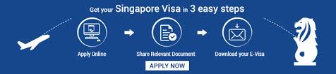 The malaysian immigration department issues three types of age limit. Singapore Work Visa Types Of Work Visa For Singapore