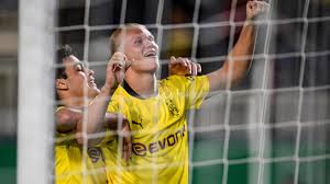 Borussia dortmund ii plays their matches at the stadion rote erde, which has a capacity of 9,999 for league matches. Izcl3sfysiugnm