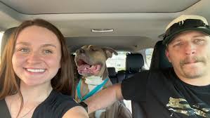 Titus is doing amazing in his foster! ❤️ They have been taking it slow with  the puppy in the home and they have been learning how to play and now it's  their