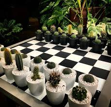 I even checked the transcript and he never. Anyone For Cactus Chess One Of The Many Fun Things To See At The Gianthouseplanttakeover Event At Wisley In The Glasshouse Succulents Decor Plants Chess Set