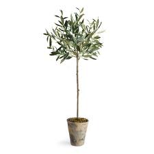 Olive Tree In Planter Faux Olive Tree Potted Trees Indoor Olive Tree