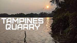 View allall photos tagged tampinesquarrylake. Running Around Tampines Quarry Youtube