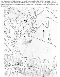 Download this adorable dog printable to delight your child. Rocky Mountain Elk Coloring Page Coloring Home