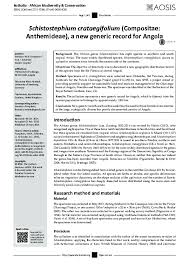 Image result for Schistostephium crataegifolium