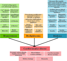 Image result for Teedia lucida