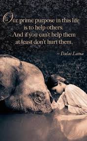 If tikkun olam matters to you as you say, then listen to the poorest in america who want a hand up and not a handout. 7 Tikkun Olam Ideas Jewish Quotes Torah Quotes Inspirational Quotes