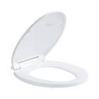 Assorted Toilet seats and lids