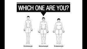 Every person has a unique body, but there are some main characteristics across them all. Know Which Body Type You Have Youtube