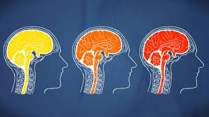 A brain aneurysm is a spot of weakness of a brain artery. How To Tell If It S A Headache Migraine Or Brain Aneurysm And What To Do Next National Globalnews Ca