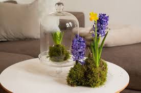 Kokedama yapmak istediğiniz bitkiyi seçin ve bu bitkinin güneş, gölge, toprak, sulama gereksinimlerini öğrenin. Fruhlingshaftes Kokedama Diy Garten Fraulein Der Garten Blog