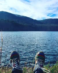 Chad Gangwer On Instagram Absorbing Gethighonamountain Getoutside Getoutdoors Trails Trailrun Yeahthatgreenville Sc State Parks Get Outdoors Day Trip