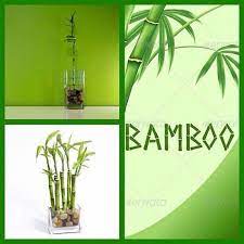 greenzoner egypt feng shui علم طاقة المكان موضوع كامل feng shui fung shui peace and love