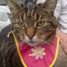 Kim Longmire (@k1mmyl)