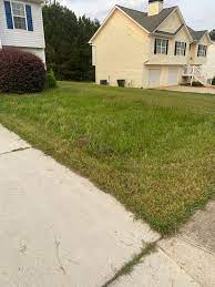 Who can finish cutting my grass in Douglasville?