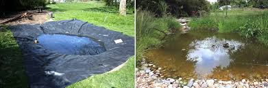 Generally, risk, return, and unobservable bank traits explain a larger share of the variation in foreign affiliate operations. How To Add A Water Feature To Your Backyard Diy Pond Ideas