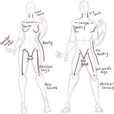 How to draw anime anatomy. Buzzfeed Anatomy Art Art Reference Poses Art Reference