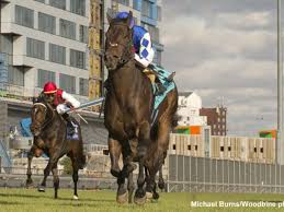 One-Handed Teenager Chasing Horse Racing Dream In Britain