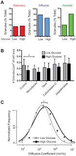 Effect Of Glucose Stimulation On Insulin Granule Motion A