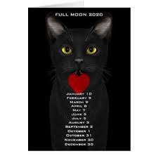 Full Moon Dates Cat Calendar 2020 Zazzle Com Moon Date Cat Calendar New Moon Dates