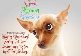 Life is awesome so make sure to enjoy every minute of it with these 55 motivational and sometimes funny tuesday quotes. Pin On Color Street