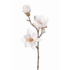 We did not find results for: Artificial Magnolia Flower Skye White Pink 20 50cm O1 6 4 7 4 12cm