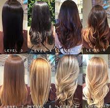 Underlining pigment is what warmth lies in each level of hair color. Level 7 Hair Color Chart Part Tscoreks Org 5 More Tips And Formulas For The Most Profitable Color Aveda Hair Color Levels Of Hair Color Color Correction Hair