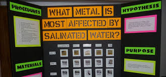 Biology Science Fair Projects For 9th Grade Science Projects For Kids Fast Science Projects For Kids Science Fair Cool Science Fair Projects Easy Science Fair Projects Science Fair Projects