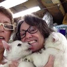 PATTI LESSER IN HOME PET SITTING