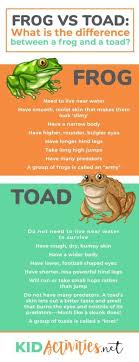 41 Fun Frog Games And Activity Ideas For Kids Kid Activities Frog Games Frogs Preschool Amphibians Activities