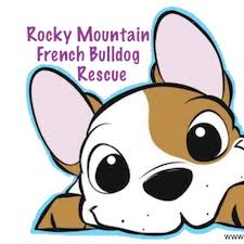 Check spelling or type a new query. Rocky Mountain French Bulldog Rescue Home Facebook