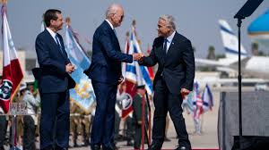 Image result for Bidens elliotii