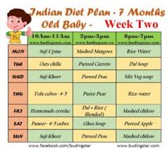 indian diet plan for 7 months old baby budding star