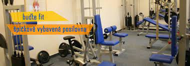 Úvoz 967, 69617 dolní bojanovice, česko. Orlovna Orlovna Dolni Bojanovice