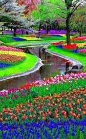 Namun beberapa gambar tidak kami sertakan informasi tempatnya karena memang sulit untuk menemukan. 32 Pemandangan Alam Taman Bunga 75 Places So Colorful It S Hard To Believe They Re Real Download 5 Desti Taman Bunga Wallpaper Alam Yang Indah Pemandangan
