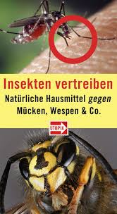 Insekten Vertreiben Naturliche Hausmittel Gegen Mucken Wespen Und Co Hausmittel Gegen Mucken Hausmittel Und Vertreiben