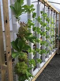 We did not find results for: Gropockets Vertical Garden Aquaponics Hydroponik Boden Ebay