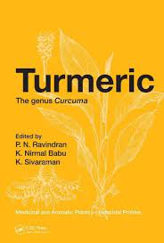 The warm and bitter taste of the spice adds a unique flavor to your curries and is a common condiment in an indian kitchen. Medicinal And Aromatic Plants Vol 45 Turmeric The Genus Curcuma