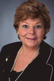 A bird? A plane? … A bear?