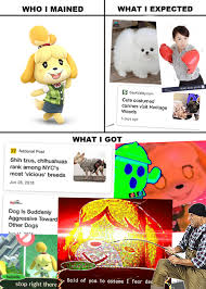 Ssbu Supersmashbros Memes Isabelle Smash Bros Funny Smash Bros Super Smash Brothers