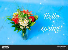 Here's what to plant in july, including flowers, fruits and vegetables. Bouquet Flowers Vase Image Photo Free Trial Bigstock