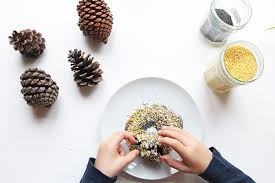 Gas, chocolat, chambre, pomme de terre, cuisine, soupe, casserole, glace, viande, fraises, légumes а вот и текст (. Pommes De Pin Pour Nourrir Les Oiseaux En Hiver Tuto Au Four Au Moulin